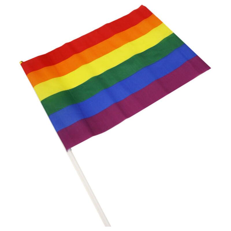 Pennant Medium LGBT Colors