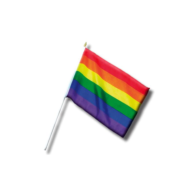 LGBT Pride Pennant Small 30 cm